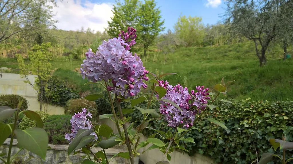 Apartahotel Residence Casa Lama Castelfranco di Sopra